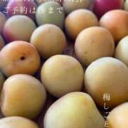 ヒメ日記 2026/06/03 09:30 投稿 湊かすみ ローテンブルク