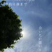 ヒメ日記 2026/06/06 08:22 投稿 湊かすみ ローテンブルク