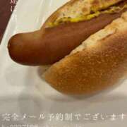 ヒメ日記 2026/06/09 08:54 投稿 湊かすみ ローテンブルク