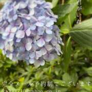 ヒメ日記 2026/06/09 09:46 投稿 湊かすみ ローテンブルク