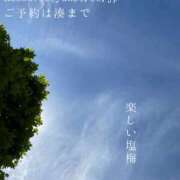 ヒメ日記 2026/06/10 09:40 投稿 湊かすみ ローテンブルク