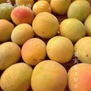 ヒメ日記 2026/06/15 06:52 投稿 湊かすみ ローテンブルク
