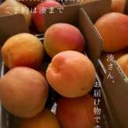 ヒメ日記 2026/06/20 06:28 投稿 湊かすみ ローテンブルク