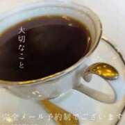ヒメ日記 2026/06/28 06:59 投稿 湊かすみ ローテンブルク