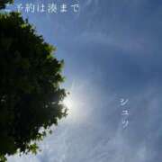 ヒメ日記 2026/07/01 08:20 投稿 湊かすみ ローテンブルク