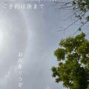 ヒメ日記 2026/07/01 08:36 投稿 湊かすみ ローテンブルク