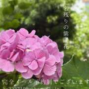 ヒメ日記 2026/07/05 21:37 投稿 湊かすみ ローテンブルク