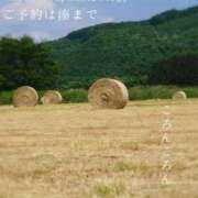 ヒメ日記 2026/07/08 08:36 投稿 湊かすみ ローテンブルク