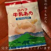ヒメ日記 2026/07/09 08:37 投稿 湊かすみ ローテンブルク