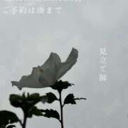ヒメ日記 2026/07/13 08:05 投稿 湊かすみ ローテンブルク