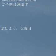ヒメ日記 2026/07/14 09:50 投稿 湊かすみ ローテンブルク