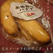 ヒメ日記 2026/07/15 07:16 投稿 湊かすみ ローテンブルク