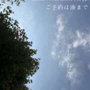 ヒメ日記 2026/07/16 09:12 投稿 湊かすみ ローテンブルク