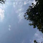 ヒメ日記 2026/07/17 09:09 投稿 湊かすみ ローテンブルク