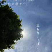 ヒメ日記 2026/07/19 09:45 投稿 湊かすみ ローテンブルク