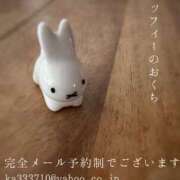 ヒメ日記 2026/07/19 09:50 投稿 湊かすみ ローテンブルク
