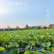 ヒメ日記 2026/07/21 09:06 投稿 湊かすみ ローテンブルク