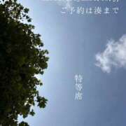 ヒメ日記 2026/07/28 08:59 投稿 湊かすみ ローテンブルク