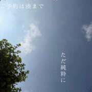 ヒメ日記 2026/07/30 08:28 投稿 湊かすみ ローテンブルク