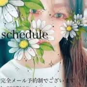 ヒメ日記 2026/08/03 23:28 投稿 湊かすみ ローテンブルク