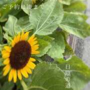 ヒメ日記 2026/08/04 09:36 投稿 湊かすみ ローテンブルク