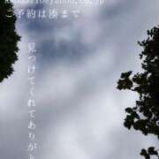 ヒメ日記 2026/08/06 08:15 投稿 湊かすみ ローテンブルク