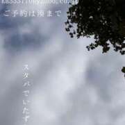 ヒメ日記 2026/08/08 08:17 投稿 湊かすみ ローテンブルク