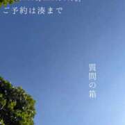 ヒメ日記 2026/08/13 08:49 投稿 湊かすみ ローテンブルク