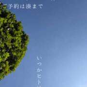 ヒメ日記 2026/08/14 09:05 投稿 湊かすみ ローテンブルク
