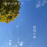 ヒメ日記 2026/08/19 08:02 投稿 湊かすみ ローテンブルク