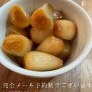 ヒメ日記 2026/08/19 08:53 投稿 湊かすみ ローテンブルク