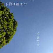 ヒメ日記 2026/08/20 09:11 投稿 湊かすみ ローテンブルク