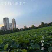ヒメ日記 2026/08/24 06:47 投稿 湊かすみ ローテンブルク