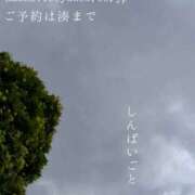 ヒメ日記 2026/09/03 07:34 投稿 湊かすみ ローテンブルク