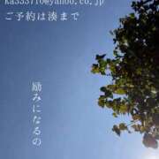 ヒメ日記 2026/09/04 09:09 投稿 湊かすみ ローテンブルク