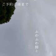 ヒメ日記 2026/09/07 07:30 投稿 湊かすみ ローテンブルク