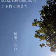 ヒメ日記 2026/09/14 09:13 投稿 湊かすみ ローテンブルク