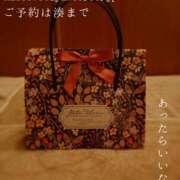 ヒメ日記 2026/09/15 09:21 投稿 湊かすみ ローテンブルク