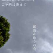 ヒメ日記 2026/09/18 09:19 投稿 湊かすみ ローテンブルク