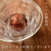 ヒメ日記 2026/09/20 21:45 投稿 湊かすみ ローテンブルク