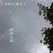 ヒメ日記 2026/09/24 09:48 投稿 湊かすみ ローテンブルク