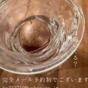 ヒメ日記 2026/09/25 08:18 投稿 湊かすみ ローテンブルク