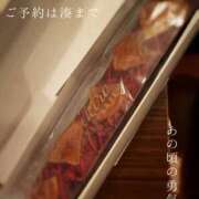 ヒメ日記 2026/10/08 08:28 投稿 湊かすみ ローテンブルク
