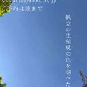 ヒメ日記 2026/10/11 09:17 投稿 湊かすみ ローテンブルク