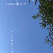 ヒメ日記 2026/10/11 09:29 投稿 湊かすみ ローテンブルク