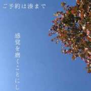 ヒメ日記 2026/10/11 09:39 投稿 湊かすみ ローテンブルク