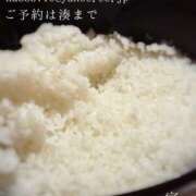 ヒメ日記 2026/10/14 09:20 投稿 湊かすみ ローテンブルク