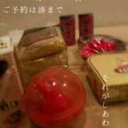ヒメ日記 2026/10/15 08:40 投稿 湊かすみ ローテンブルク