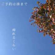 ヒメ日記 2026/10/16 09:11 投稿 湊かすみ ローテンブルク