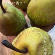 ヒメ日記 2026/10/18 09:28 投稿 湊かすみ ローテンブルク